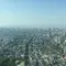 ブラタモリからの大阪が日本一の商都になる歴史探索！