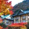 箱根町強羅から宮ノ下へ徒歩で紅葉巡り