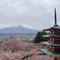山梨、春の小旅行（河口湖周辺）