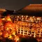 京都で清水寺デート