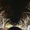 非リア女子の肉食クリスマス🎅🍖【表参道】