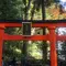 元箱根！で心を癒す
