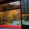 【秋の京都は裏切らない！】そうだ、京都行こう！紅葉編