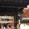 ✨名古屋で紅葉狩り