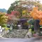 秋の栗スィーツとコスモスの旅（丹波地区）紅葉スポットも追加