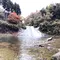 日帰り:養老の滝紅葉(養老渓谷~海ほたる)ドライブ