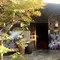 紅葉シーズンの【京都】観光