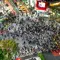 「大都会 東京」を実感するスポット