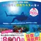 座間味ダイバーズエッグプロジェクト！   国立公園 座間味島で、体験ダイビングをしよう！〜2／28