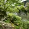 水の町 郡上八幡を愉しむ大人旅