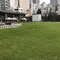 池袋デート①