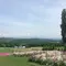 富良野と美瑛のお花の旅