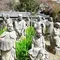 桜の京都で和と洋を楽しもう。