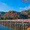 ☘一日京都観光☘嵐山･岡崎