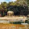 天王寺動物園＋α