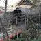 紀三井寺、粉河寺