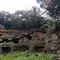 鎌倉〜衣張山ハイキング