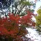 人の多いところに行くのであれば‥。