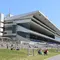 【京都市編】穴場！家族で京都競馬場ピクニック！