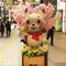 狸小路は、西側が面白い