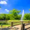 代々木公園から新宿ランチまで