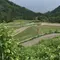 何もしない贅沢佐渡旅行