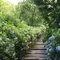 紫陽花の時期に行きたい！鎌倉日帰り旅