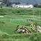 【山形県】米沢グルメと上杉家