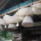 【 島根 】1泊2日の タビ ♡