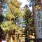 【 栃木 】1泊2日のタビ ♡
