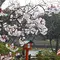 【中間市】レンタサイクルで巡る
