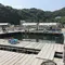 手ぶらでいこう!!姫路市家島の釣堀スポット
