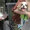 愛犬と行く那須高原🎵