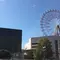 初鹿児島来訪