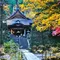 秋の駒ヶ根高原で紅葉を満喫！