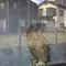 鷹の道を 散策してみました