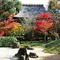 都内で紅葉を楽しむ（世田谷区と近隣）