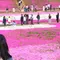 秩父観光の見所を網羅する