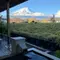 河口湖ゆったり12月旅行