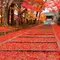 京都からぷらっとサイクリング旅