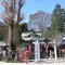 【川越】御朱印めぐり(8ヶ所9種✌️1日コース)お一人様、デート、女子旅に❗️えんむすび多め❤️