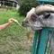 奥伊勢で家族デート
