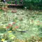 よみがえりの旅
