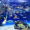 2018年夏の都内クールスポットを紹介！涼しい夜のお出かけイベントプラン