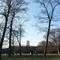 代々木公園〜原宿で春を楽しむデートプラン