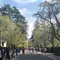 アラバキついでに！秋田桜めぐりのたび