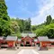 西郷どんの舞台 鹿児島をおしゃれに巡ろう！