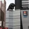 【これで安心！新宿デートスポット】1日中遊びきれるおすすめプラン8選！