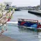 横浜 各種クルージング・乗船体験・船鑑賞など