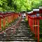 紫陽花と青もみじ in 京都